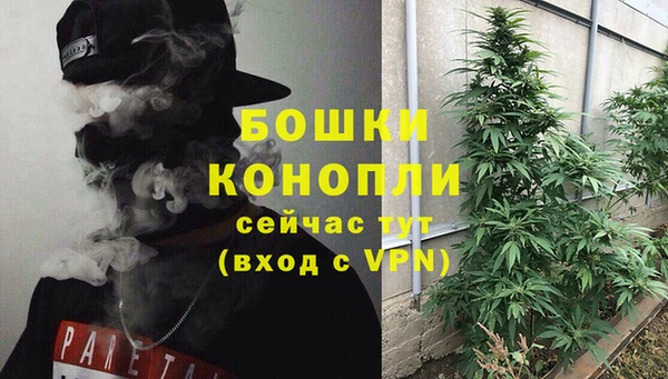 mix Гусиноозёрск